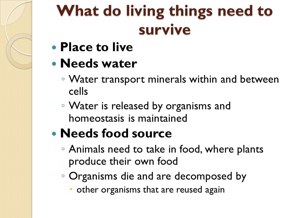 Why do living things need energy
